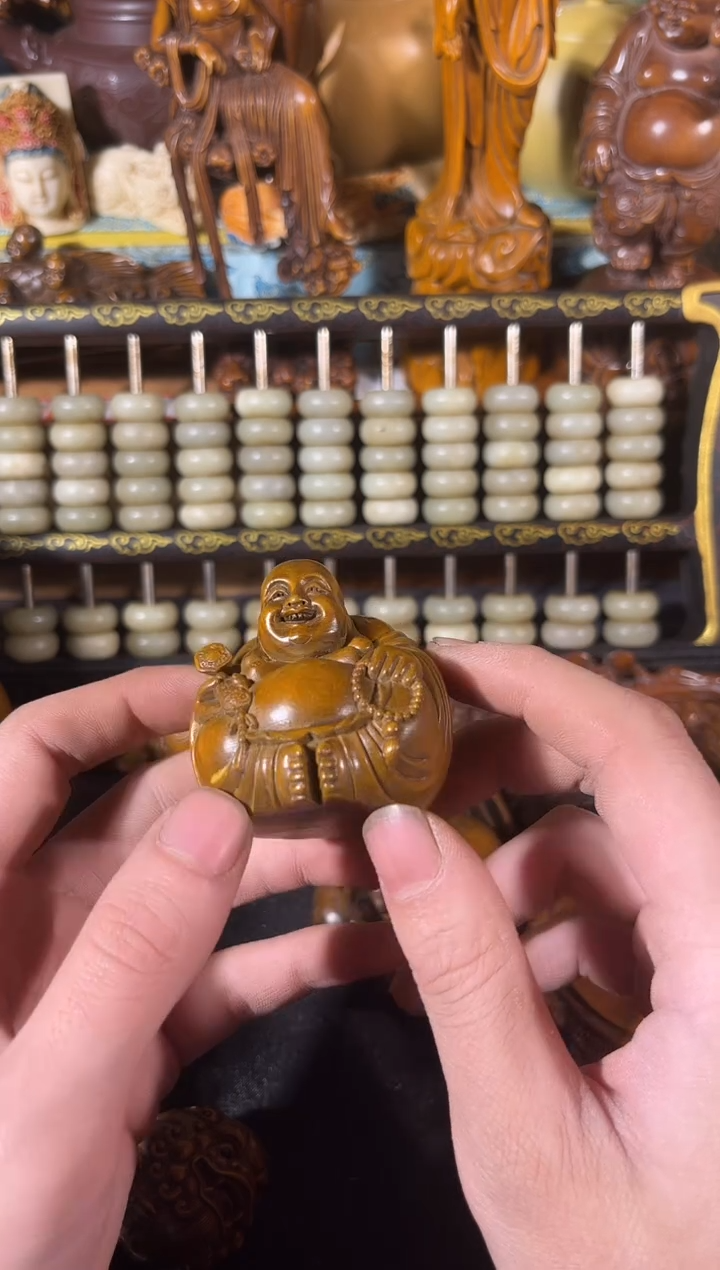 黄杨木11111111111