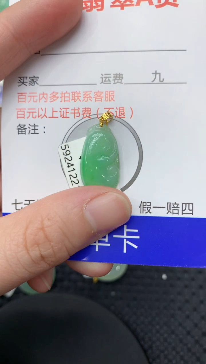 【闪购商品】翡翠颈饰18K金镶嵌11111111111