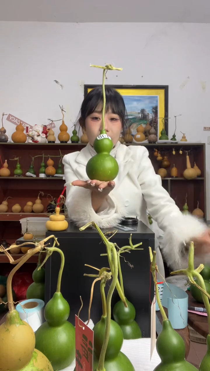 108天然葫芦摆件 一物一拍龙头不保售后
