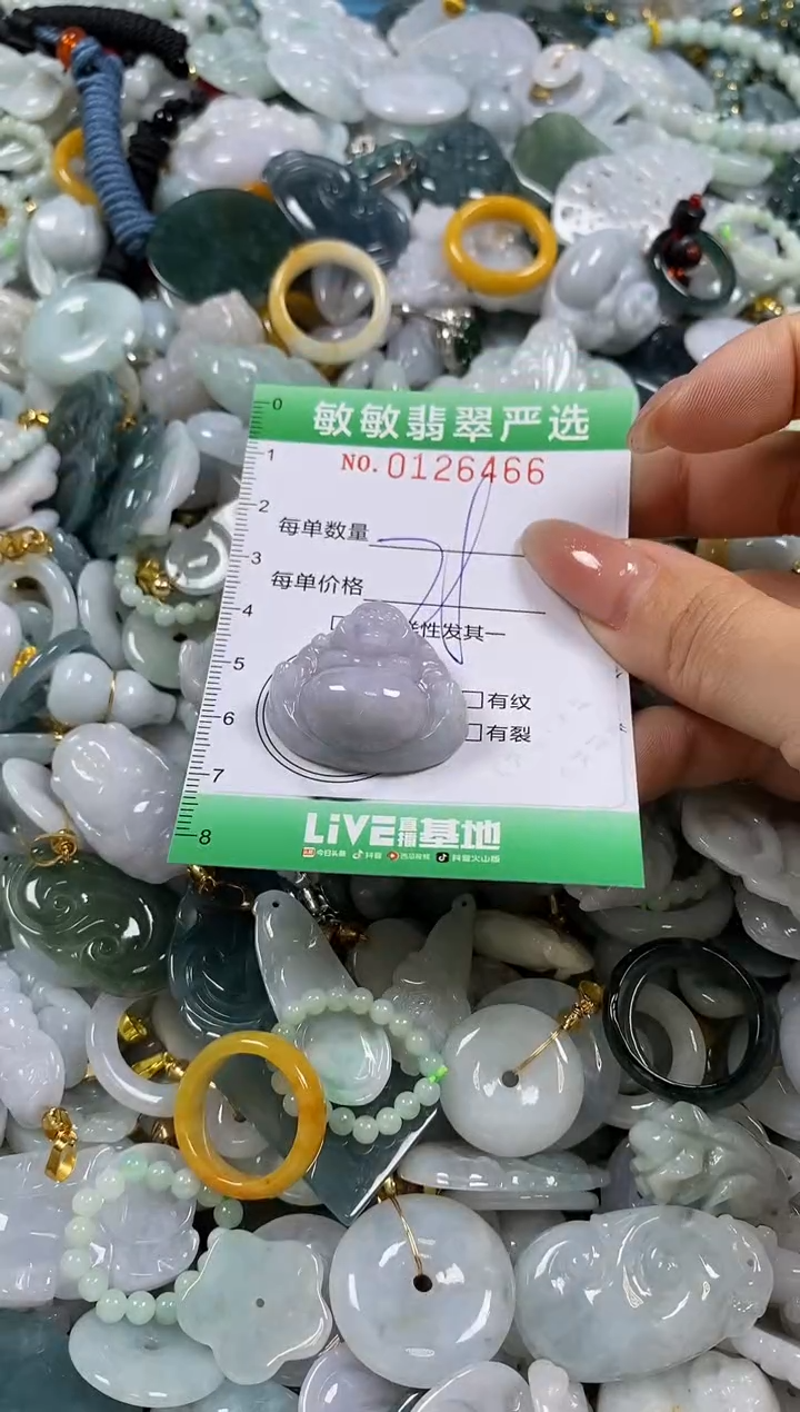 【闪购商品】翡翠颈饰未镶嵌闪购0126466