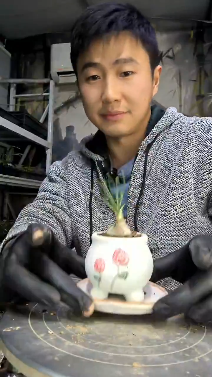 早*中青园艺一物一拍花78