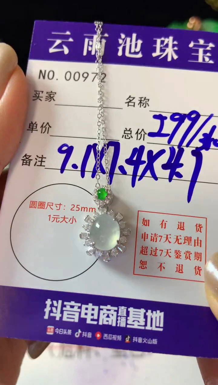 【闪购商品】翡翠颈饰银S925镶嵌翡翠