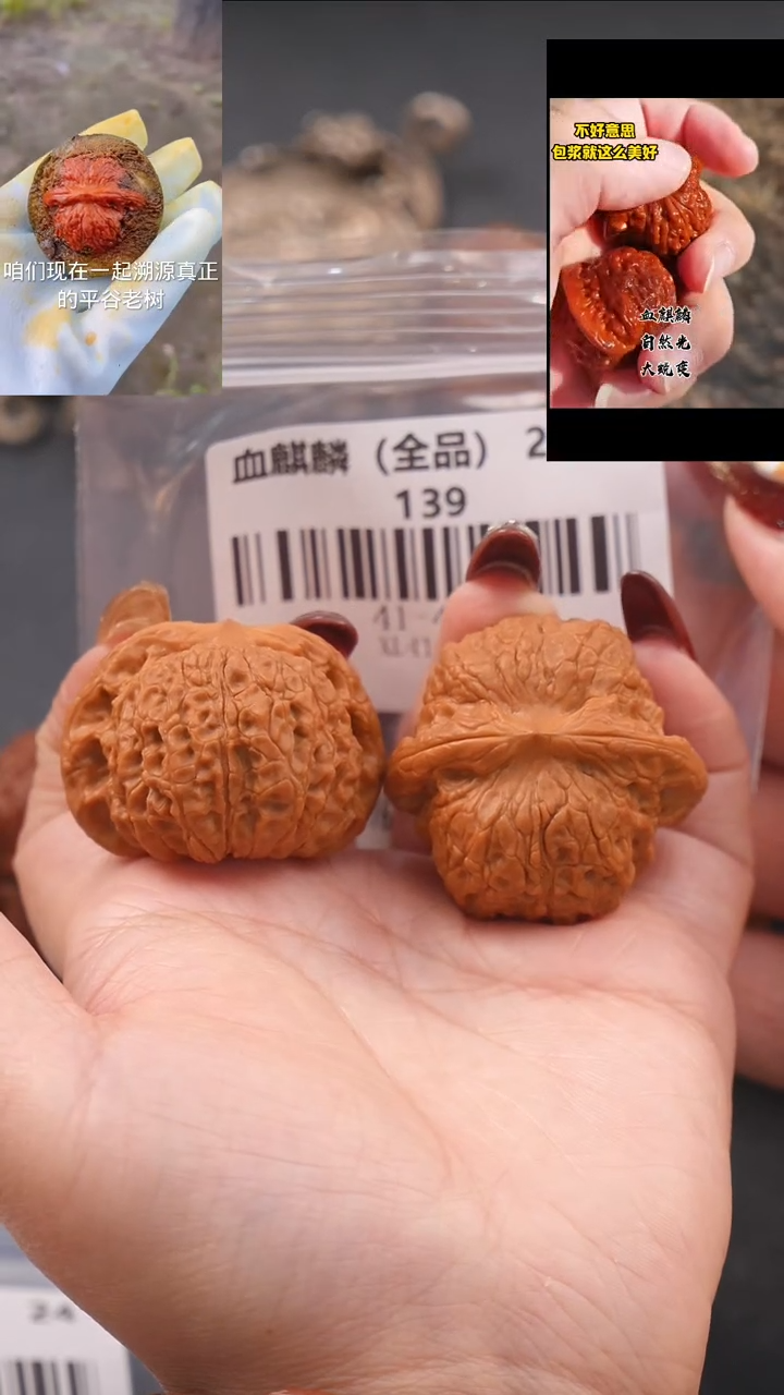【闪购商品】文玩核桃把件41血麒麟（全品）