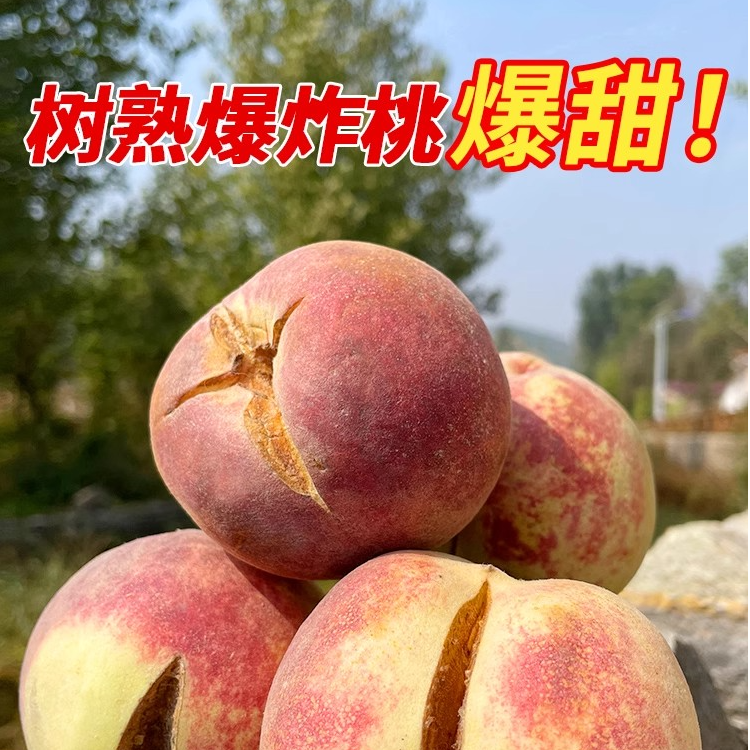 山东爆炸桃红叶冬桃轻微裂口糖炸果现摘现发包邮桃子山东省山东省