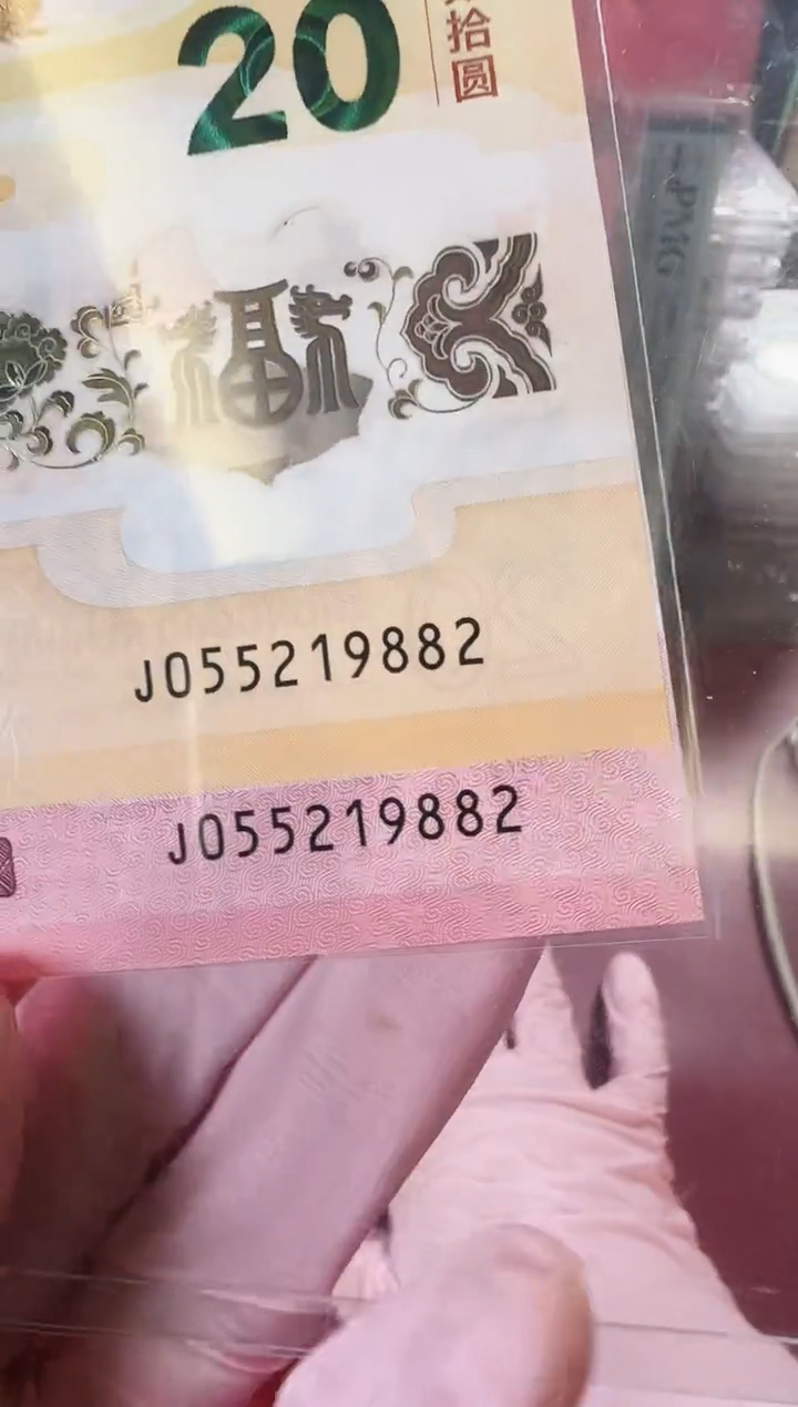 【闪购商品】塑料2025蛇钞全同号啊啊啊啊啊