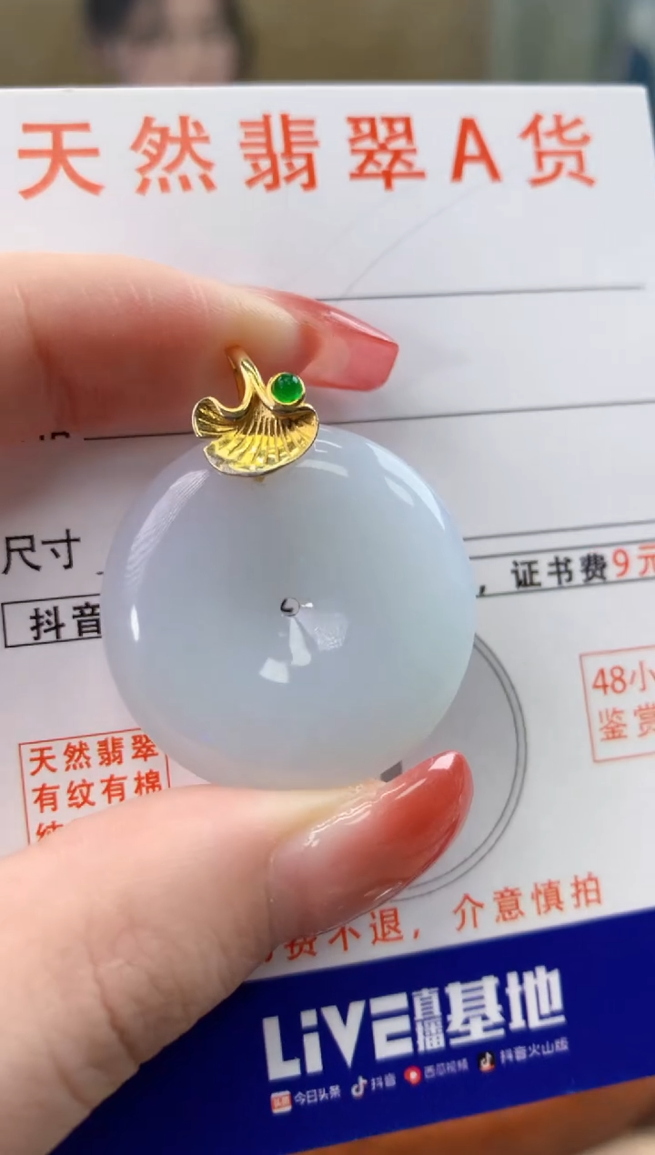 颈饰未镶嵌翡翠天然A货翡翠挂件