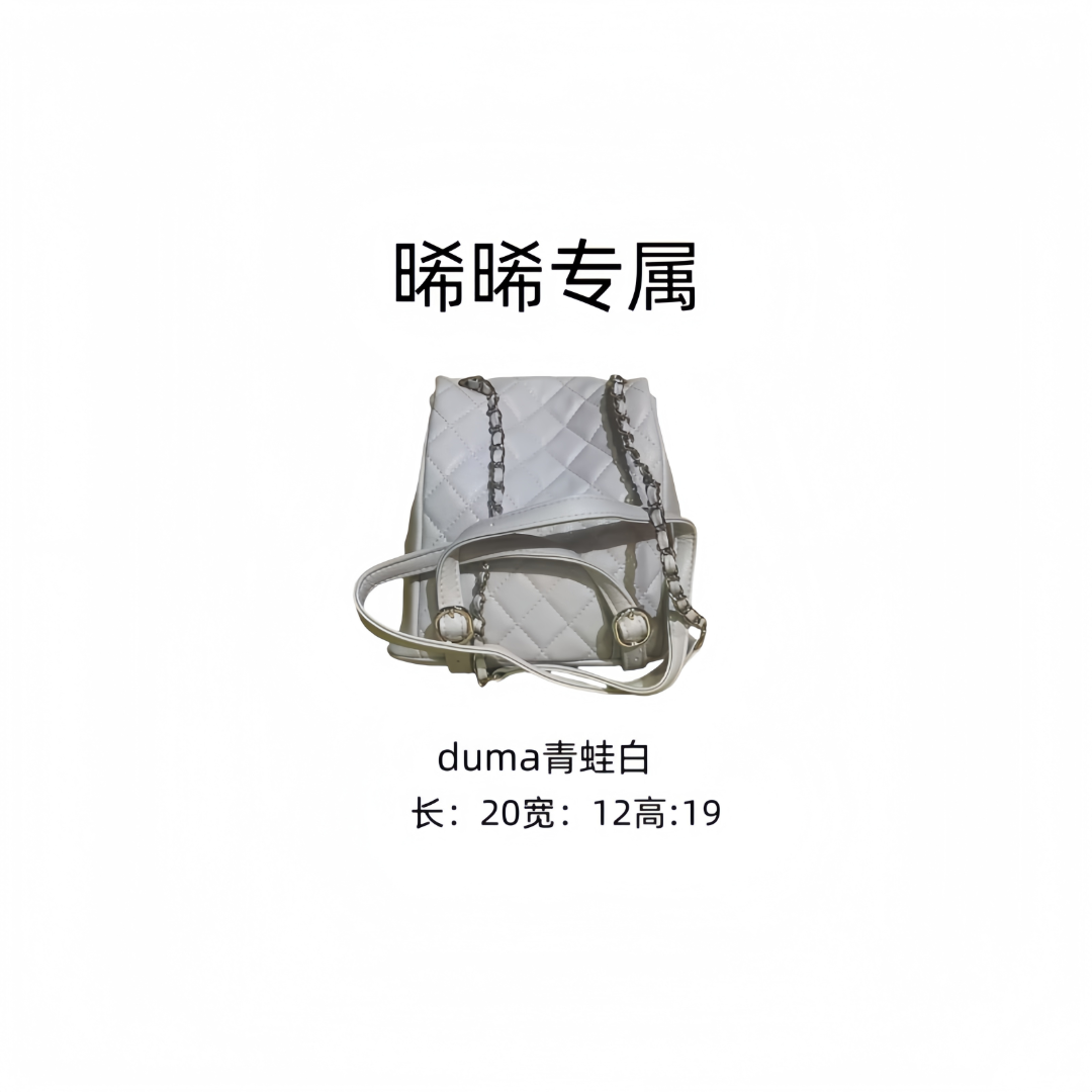 E291 新款百搭女包-250201鱼子酱白