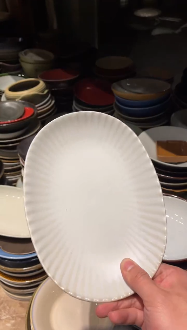 【闪购商品】瓷片359   无光白长条盘1个