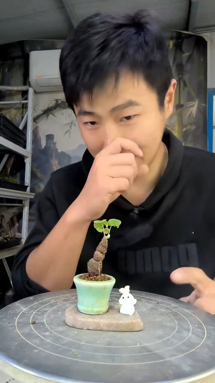 牛*中青园艺一物一拍花33