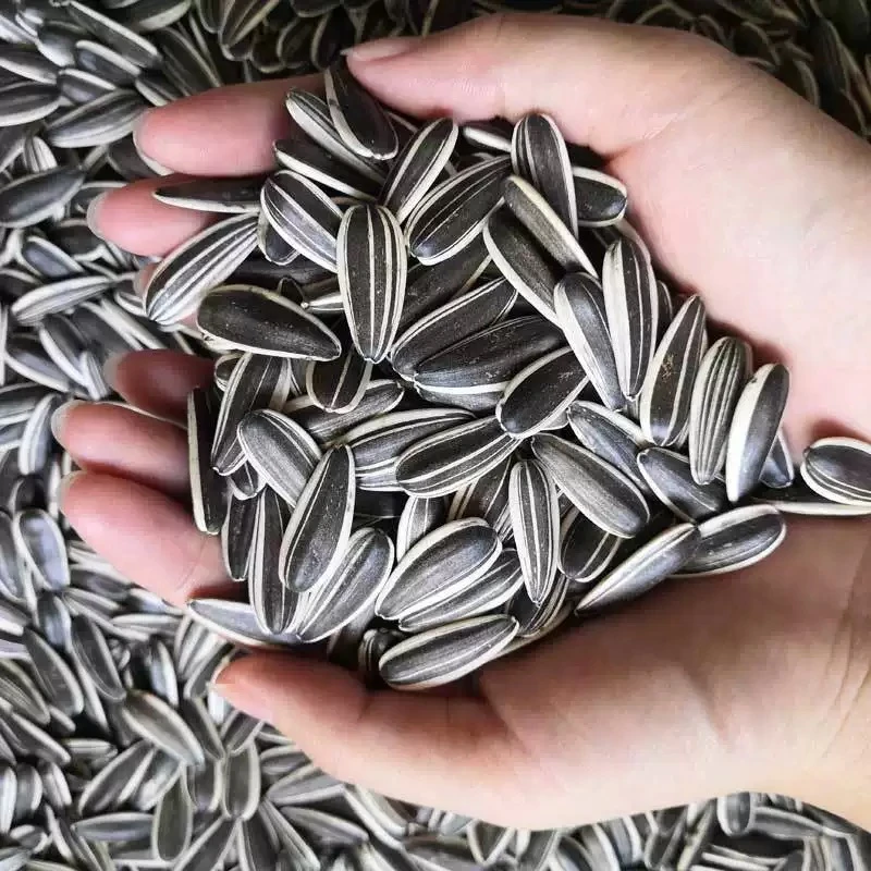 【2斤熟瓜子】原味/年货现炒家庭装新鲜零食特产葵花子坚果 