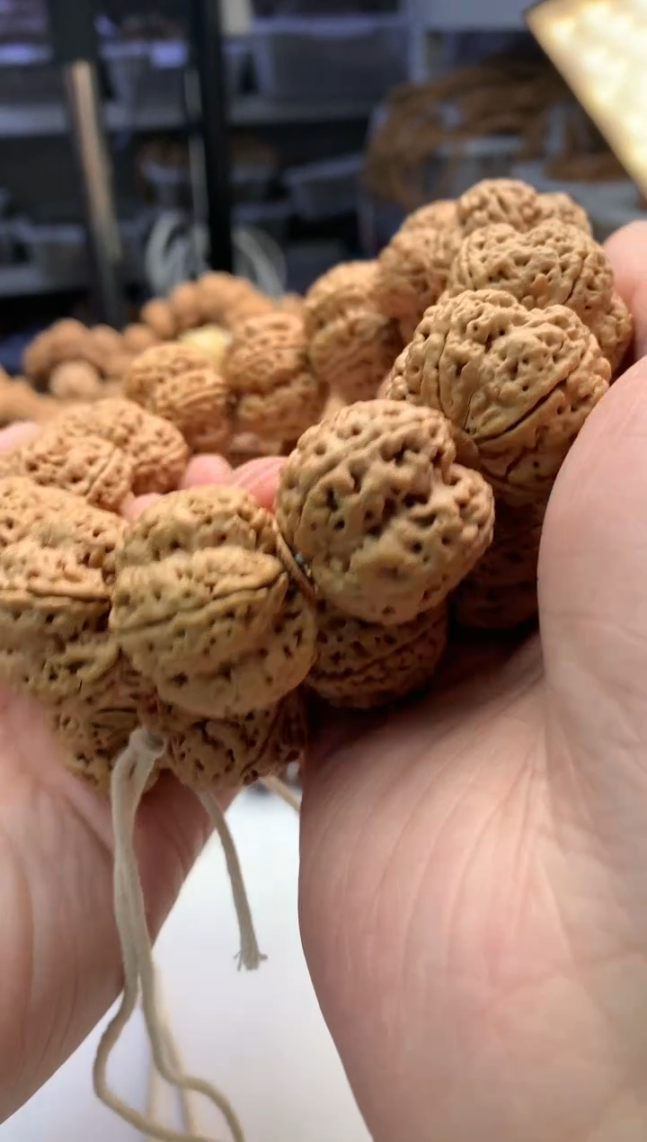 【闪购商品】金刚菩提吊坠2855555555