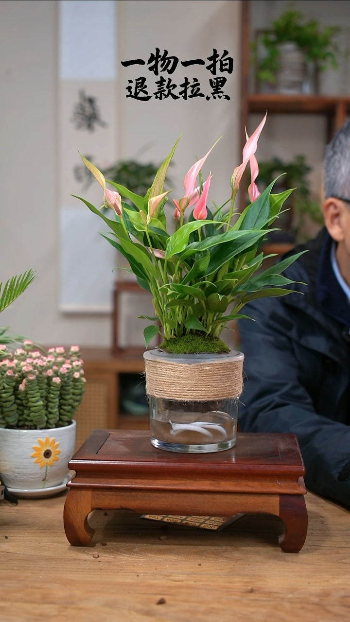 完全开放木**z莉莉453