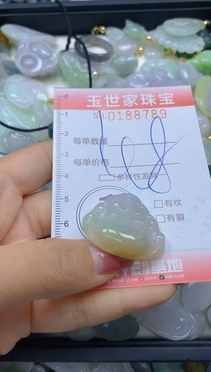 【闪购商品】翡翠颈饰未镶嵌闪购0188789