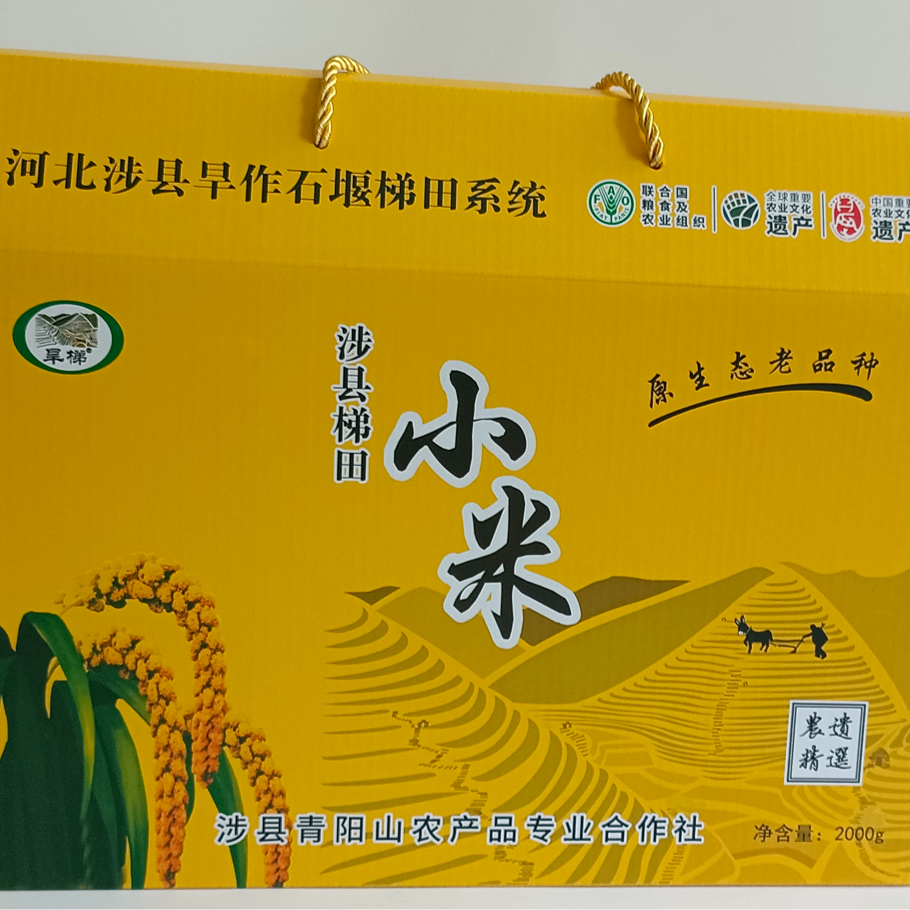 涉县青阳山礼盒旱作石堰梯田黄米礼盒