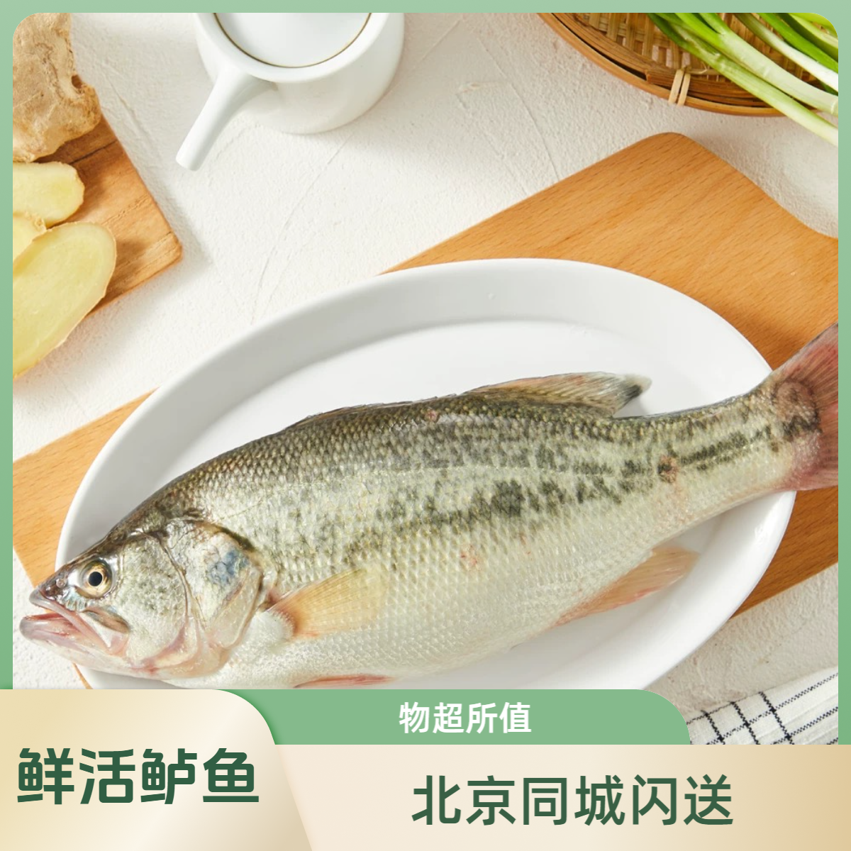 【鲜活】淡水 河鲈鱼 （多规格）（默认宰杀 需要活发请备注）