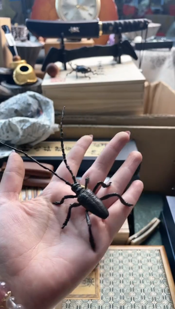 【闪购商品】瓷片xs88888888888888