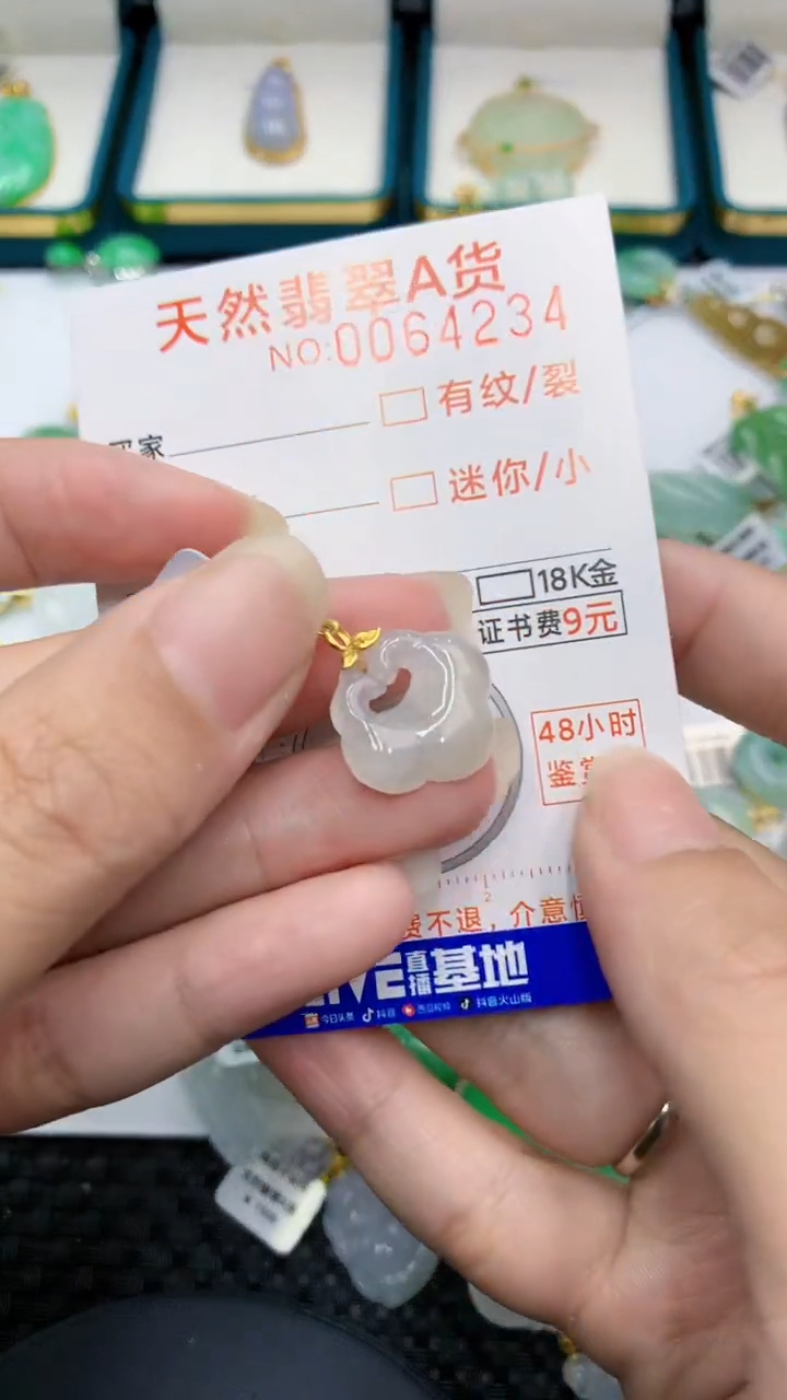 【闪购商品】翡翠颈饰18K金镶嵌            8
