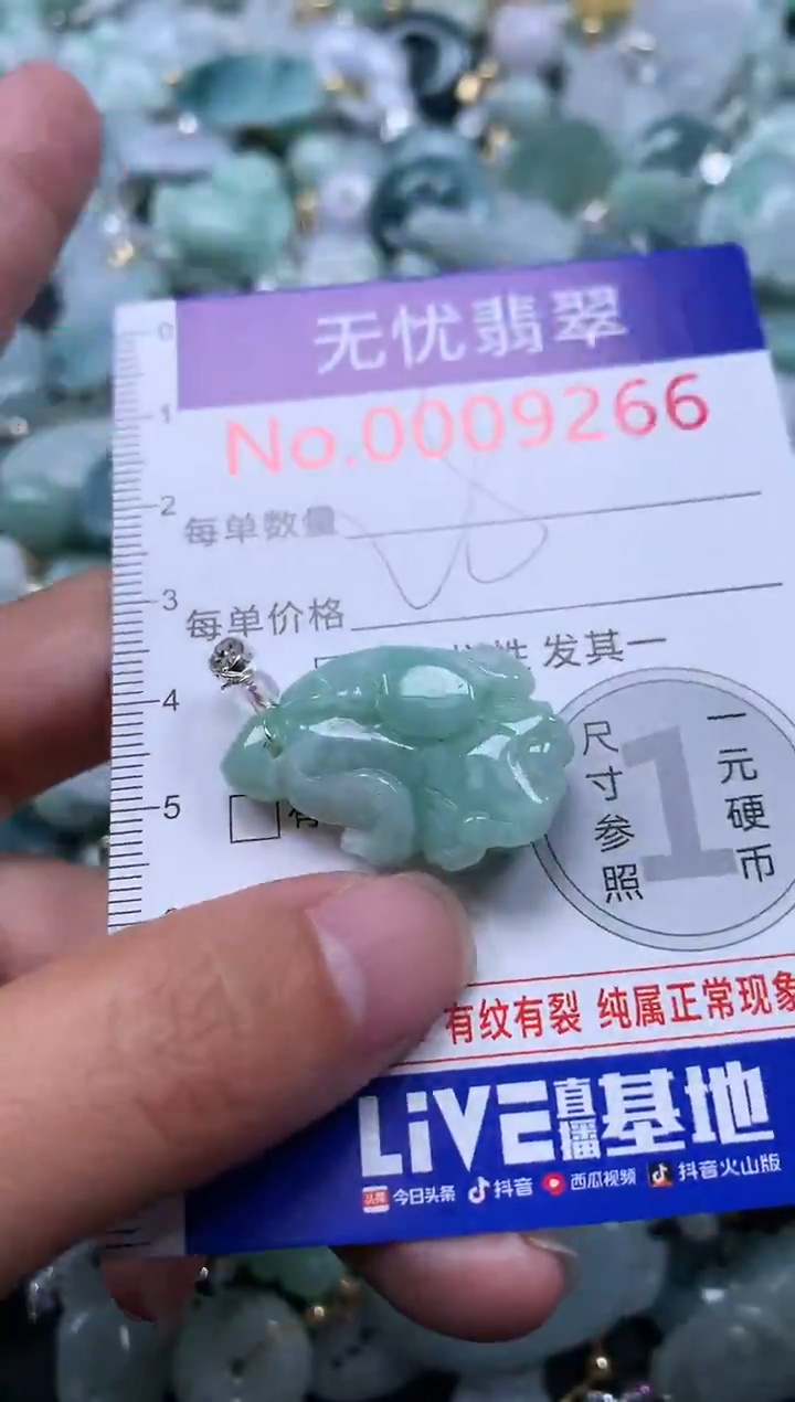 颈饰未镶嵌翡翠9266