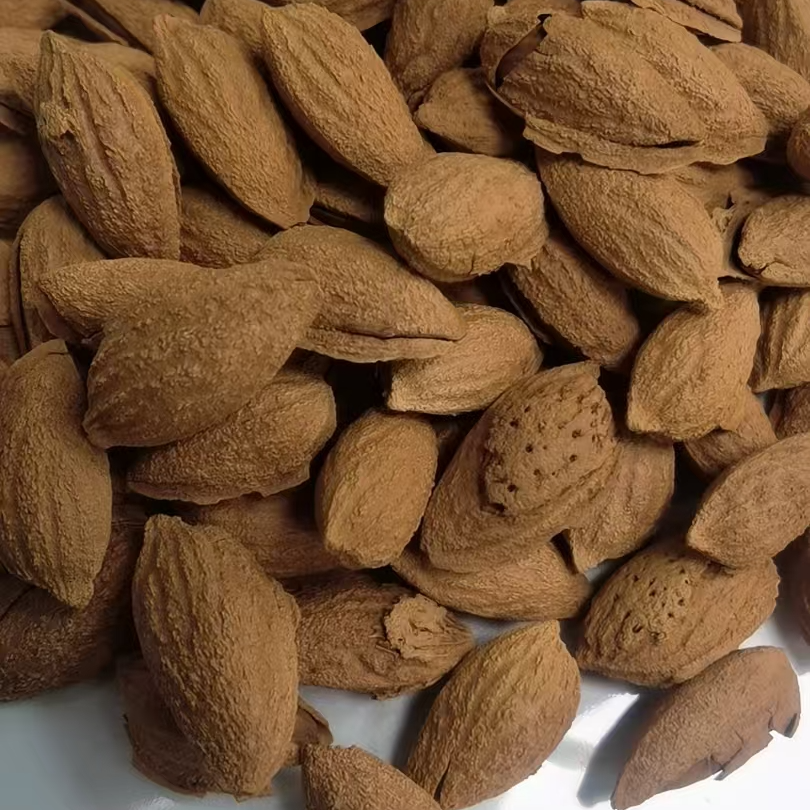 原味薄皮皮巴旦木大颗粒饱满开口薄壳手剥坚果零食