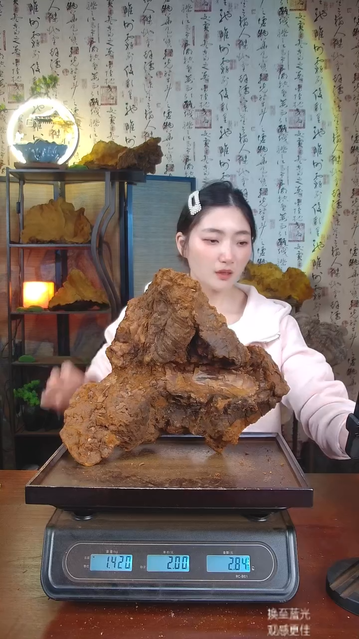 松针层孔菌中国大陆【藏区 野生】松树桑黄（2.84斤）30-40年份