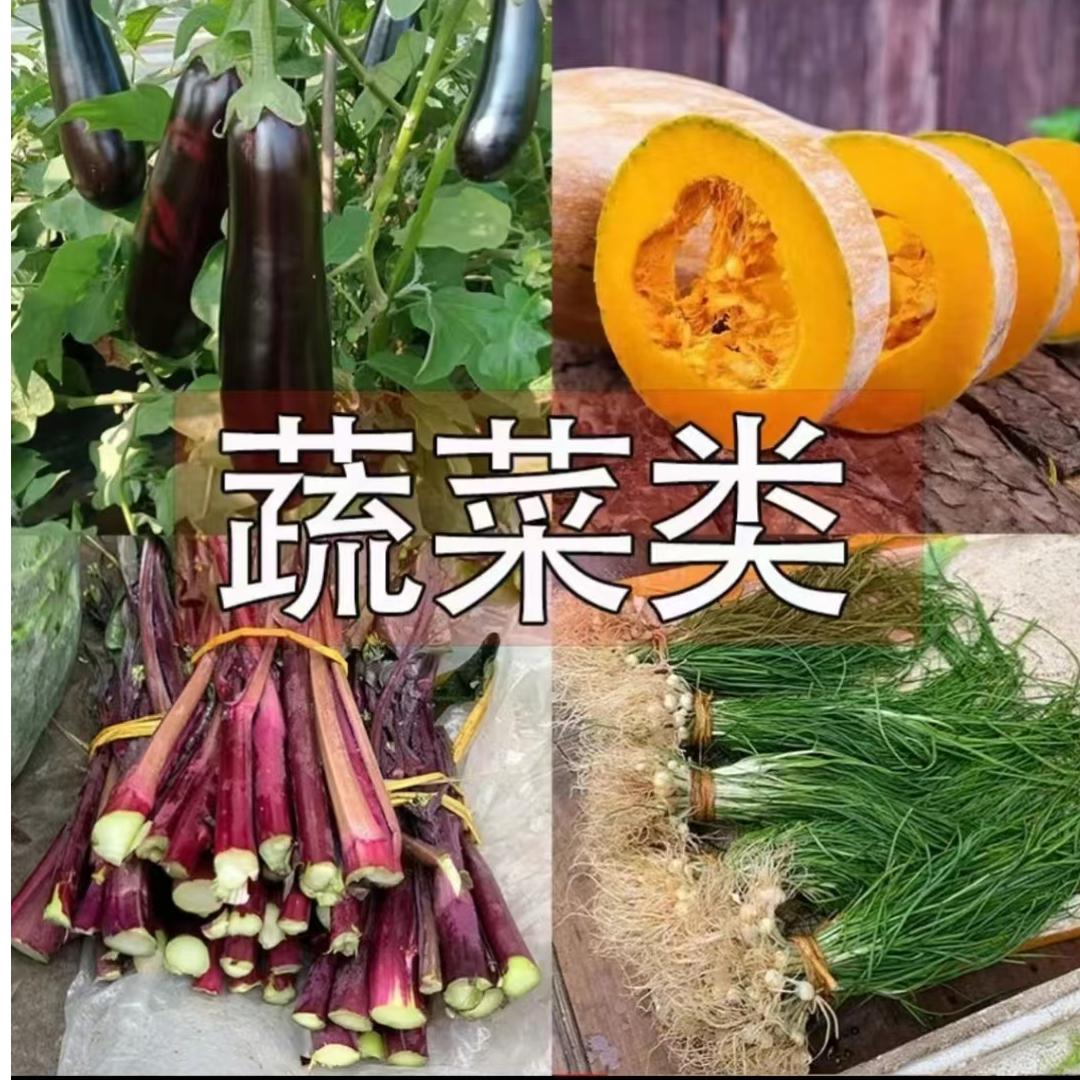 喜洋洋村长现摘蔬果类