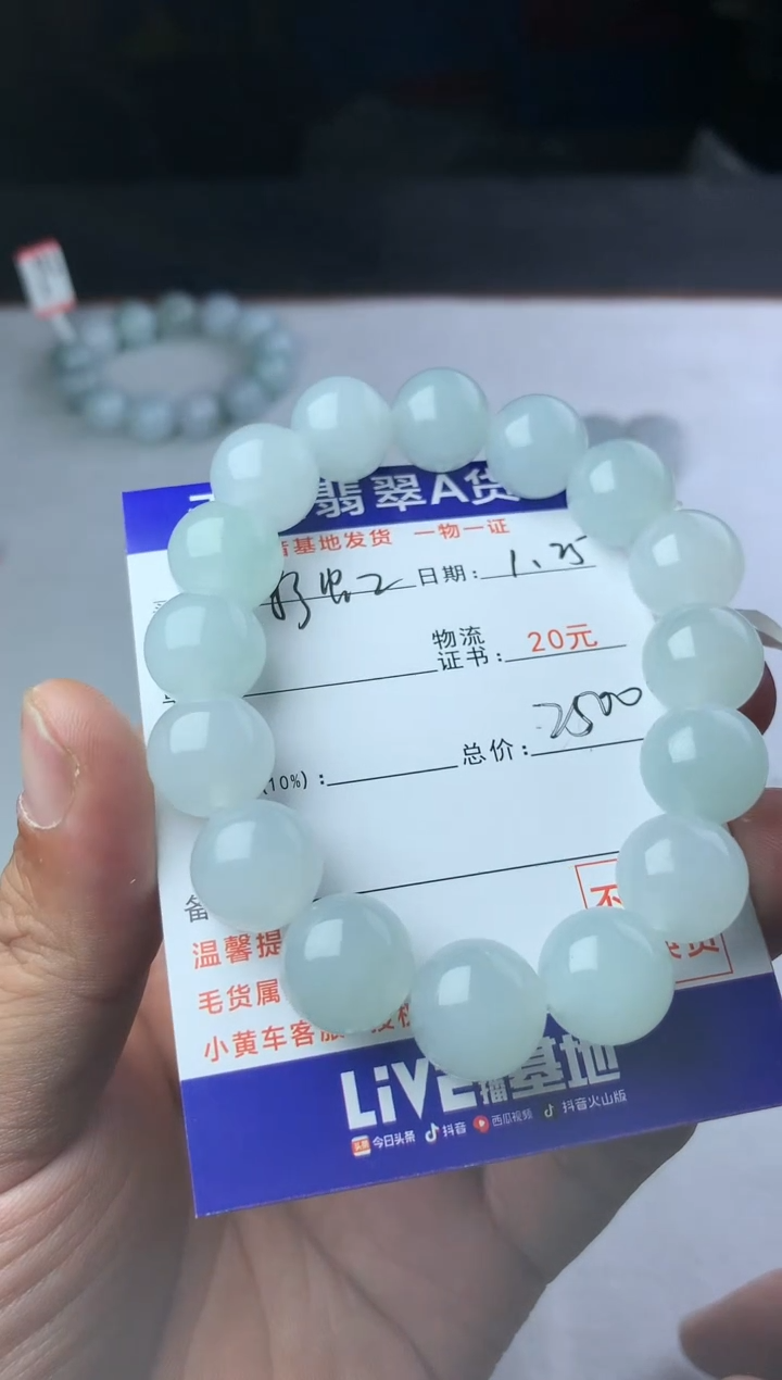【闪购商品】翡翠颈饰未镶嵌珠子