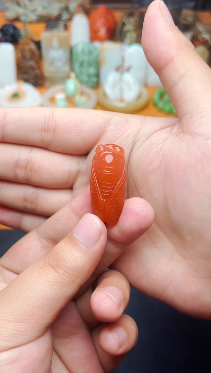 【闪购商品】南红玛瑙颈饰未镶嵌一鸣惊人01