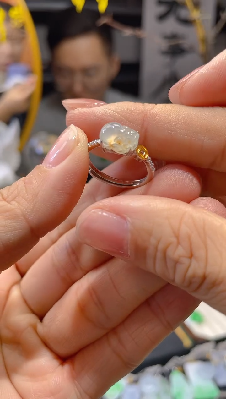 【闪购商品】翡翠颈饰未镶嵌假一赔三