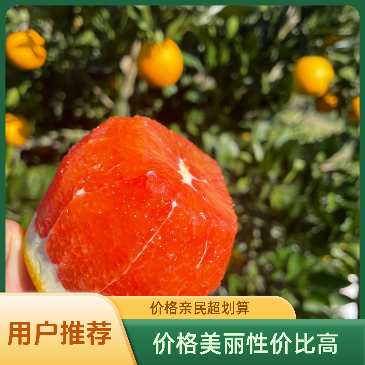 【血橙】血橙 富含花青素 香甜多汁 净重4.6斤一箱