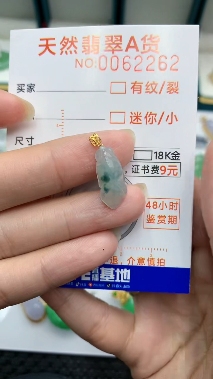 【闪购商品】翡翠颈饰18K金镶嵌            8