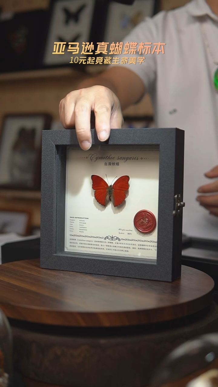 血漪蛱蝶翻盖盒子款