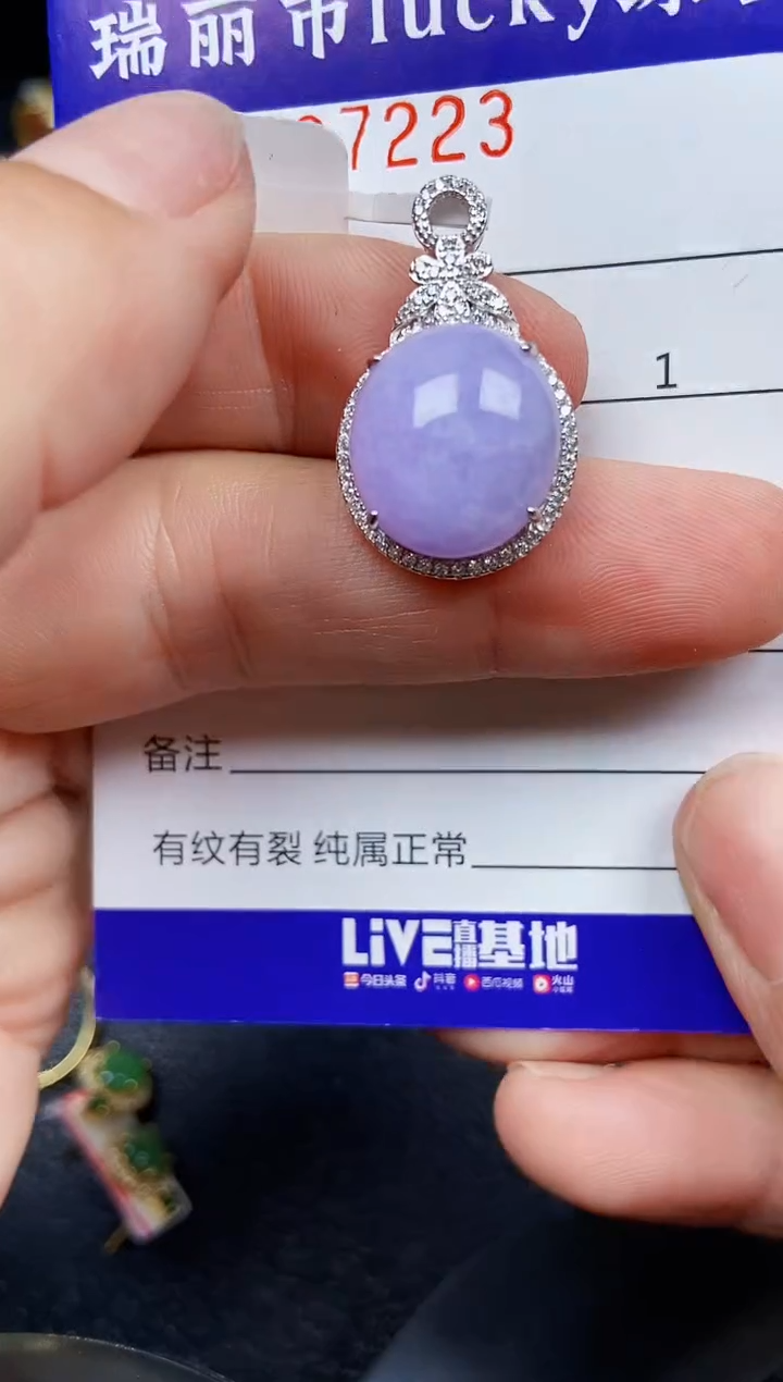 翡翠银S925镶嵌颈饰7223