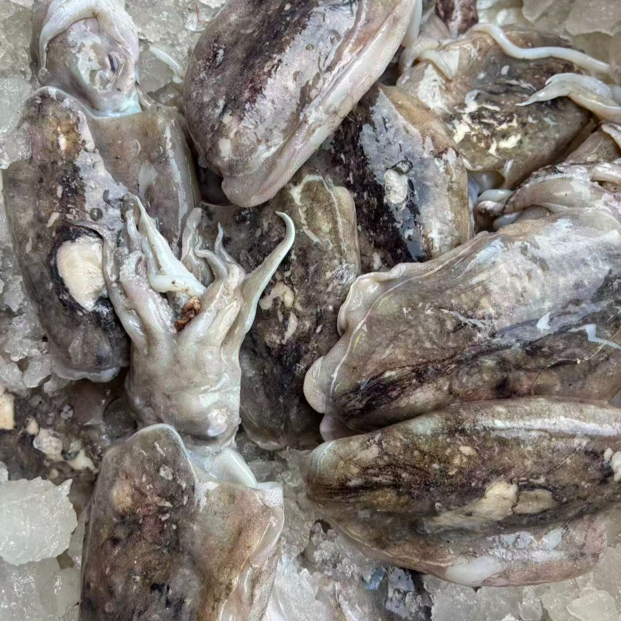 香辣蟹4斤新鲜送到家