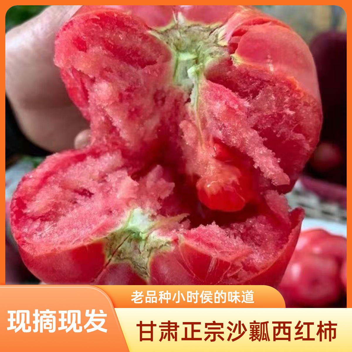 正宗甘肃沙地沙瓤西红柿老品种自然熟番茄应季蔬菜现摘孕妇水果
