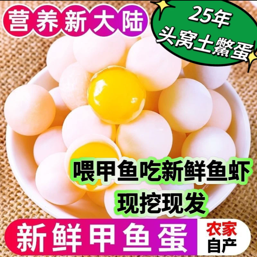 120枚 新鲜外塘散养甲鱼蛋  农家现挖现发 (瑶)【送菜谱、送料包】