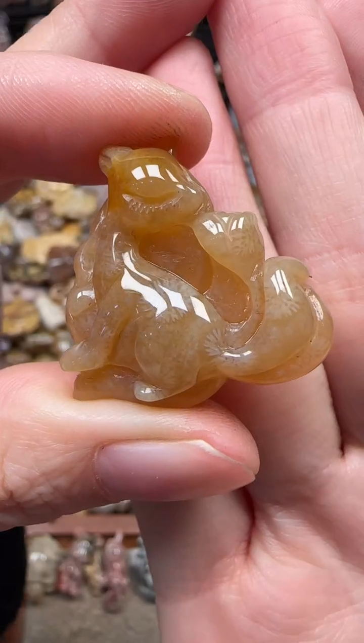 颈饰未镶嵌硅化珊瑚（珊瑚玉）411