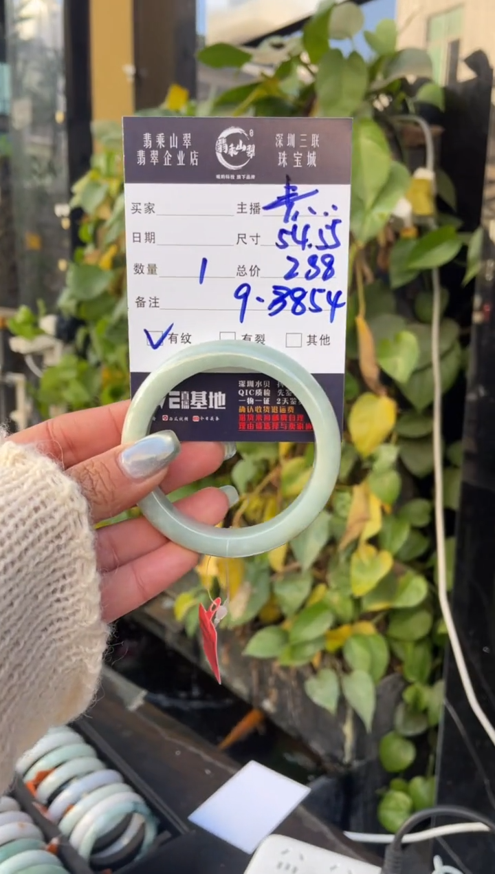 【闪购商品】翡翠手镯未镶嵌C 54+正圈-9 3854