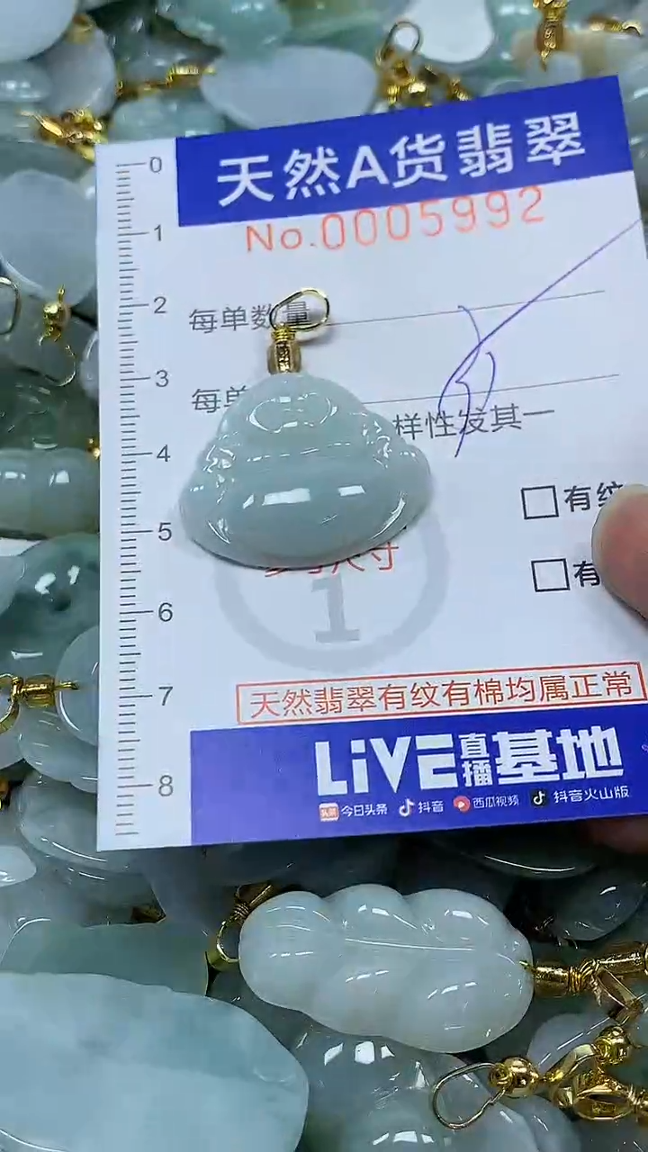 颈饰未镶嵌翡翠纯天然a货翡翠