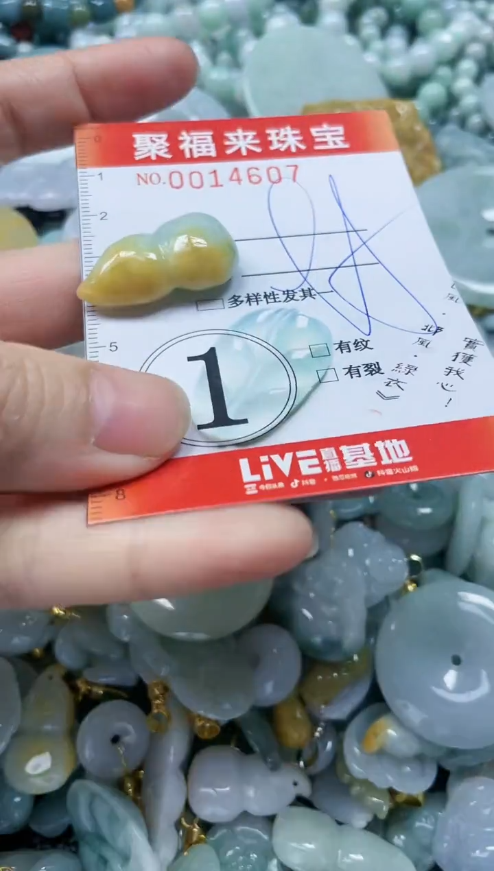 【闪购商品】翡翠颈饰未镶嵌闪购0014607