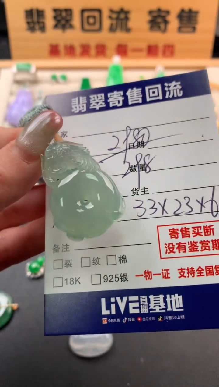 翡翠未镶嵌颈饰10142318