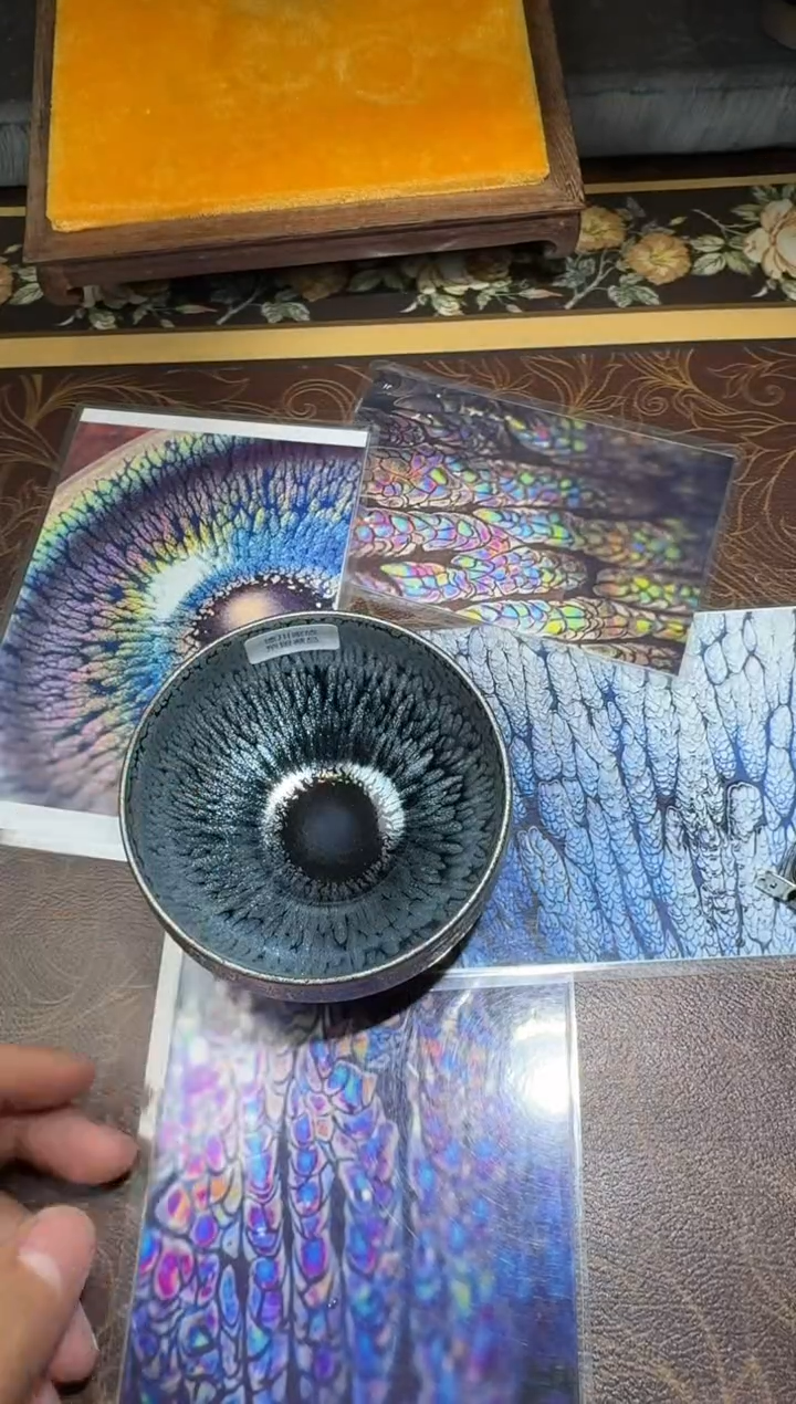 茶盏陈乃文重见钵155