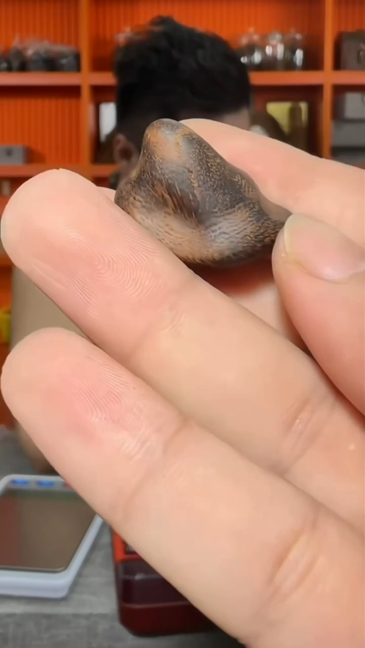 沉香吊坠a119号舍利子多样性发一