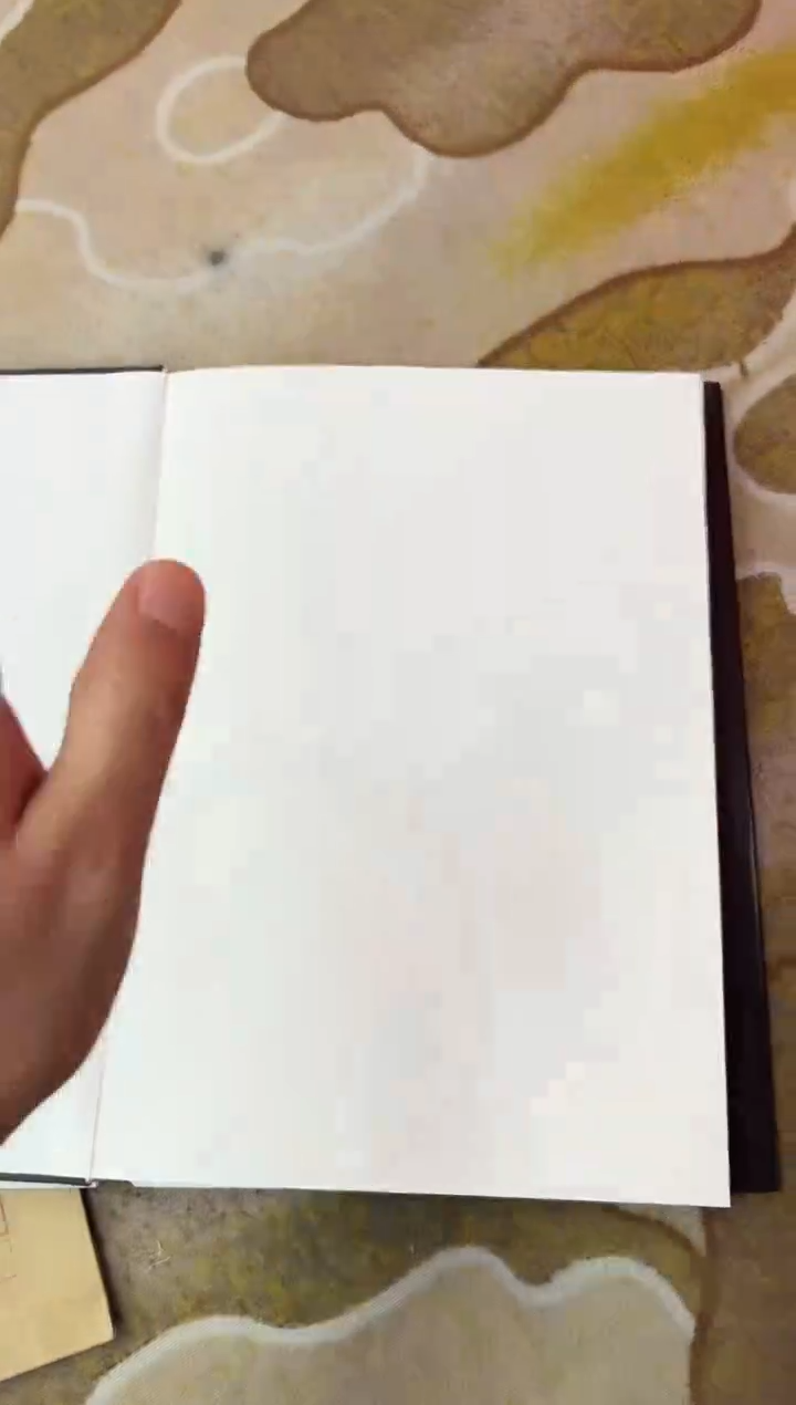 【闪购商品】国画莫远峰-书法/绘画1