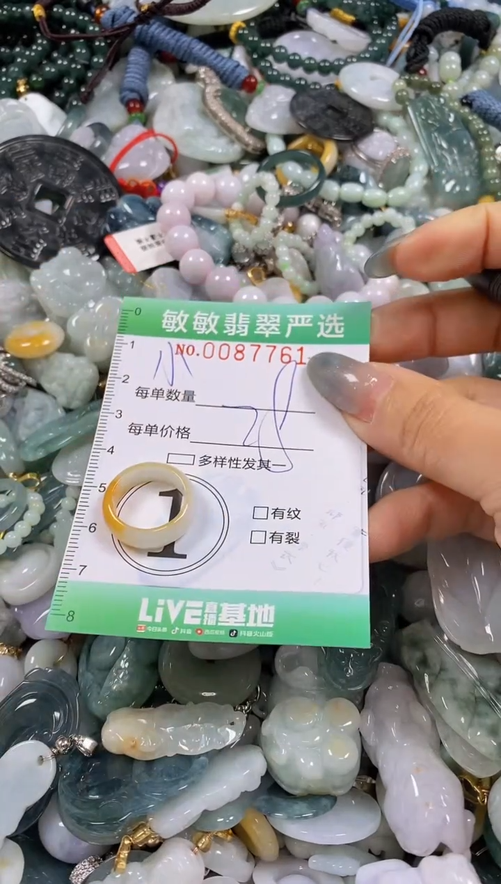 【闪购商品】翡翠颈饰未镶嵌闪购0087761