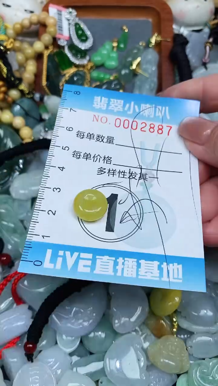 【闪购商品】翡翠颈饰未镶嵌闪购0002887