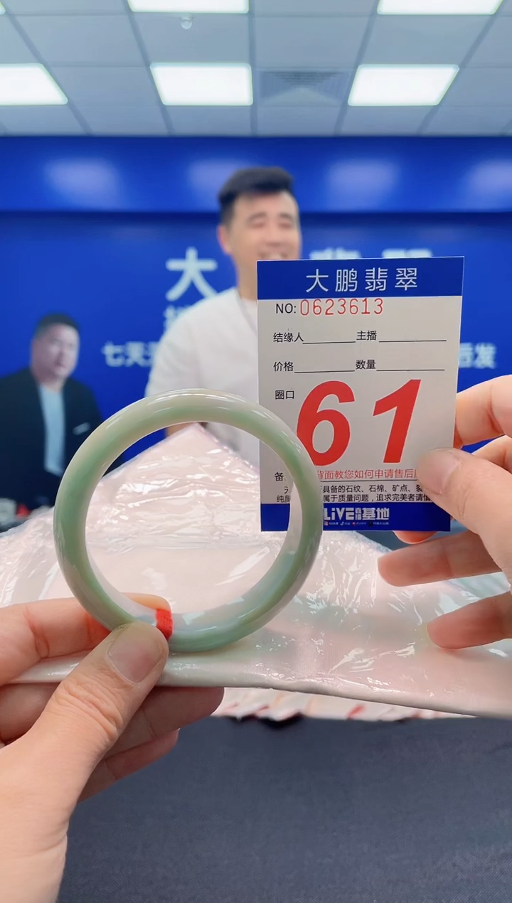 未镶嵌手镯翡翠AAAAAAAAA
