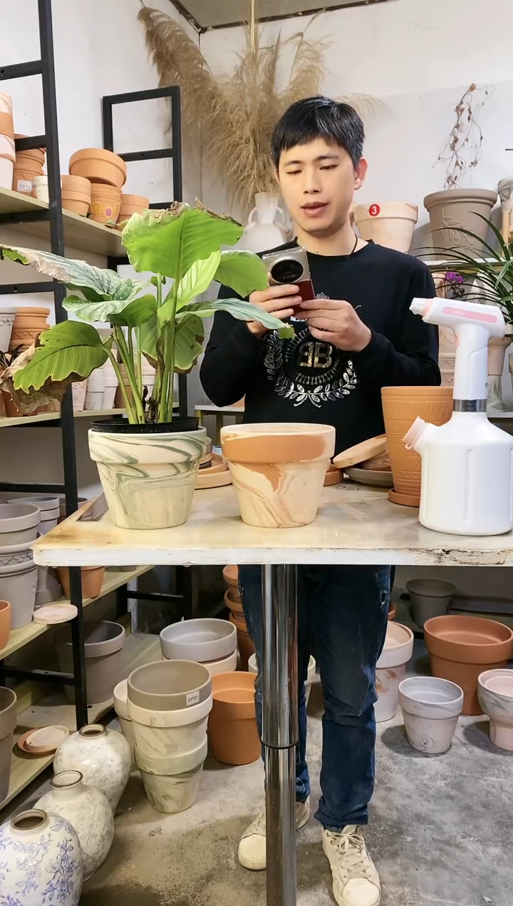 【闪购商品】陶16*13绿白陶+玛奇朵组合 2盆无托
