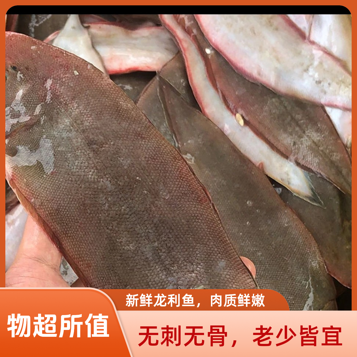 江苏吕四渔港海捕龙利鱼 板鱼 玉秃鱼