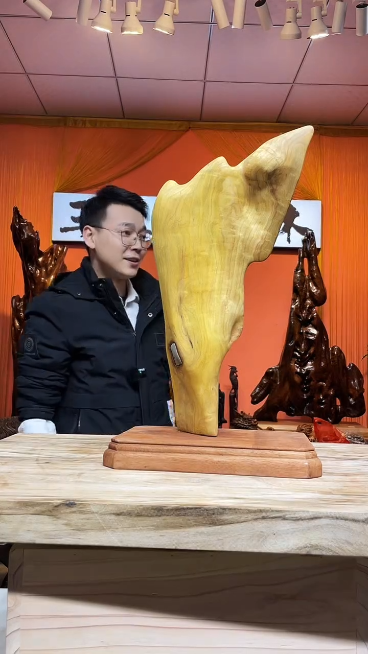 金丝楠猜*看金丝楠木小叶桢楠