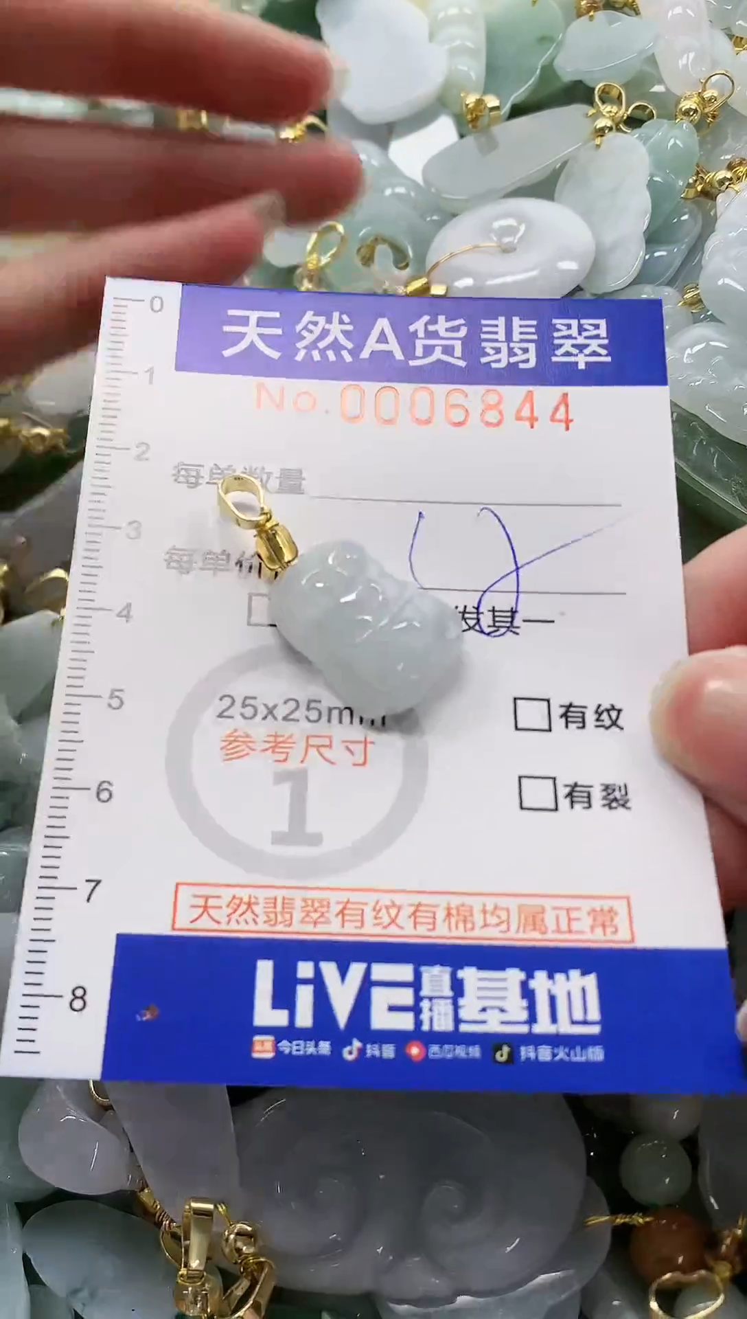 颈饰未镶嵌翡翠纯天然a货翡翠